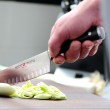 Cuchillo santoku Ikon Classic